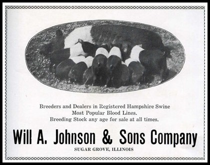 Will A Johnson & Sons Co.jpg