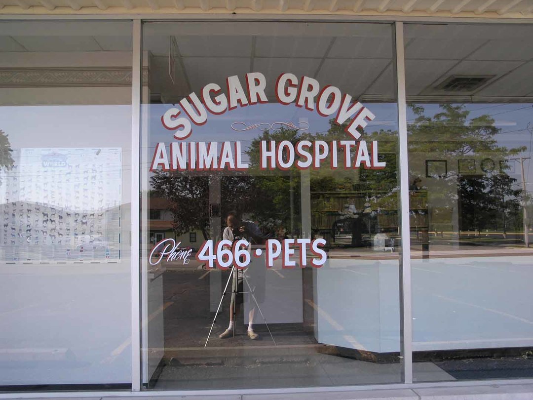 SG ANIMAL HOSPITAL ON CROSS STREET - 3 - Reduced.jpg