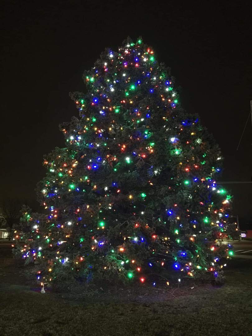 2020 SG Holiday Tree, Rte 47-2.JPG