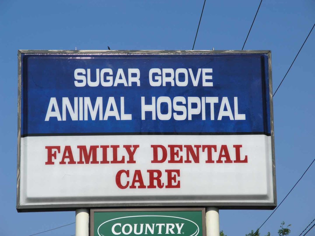 SG ANIMAL HOSPITAL ON CROSS STREET - 4 - Reduced.jpg