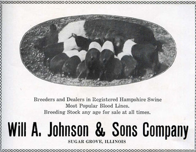 will a johnson add 1921 b.jpg