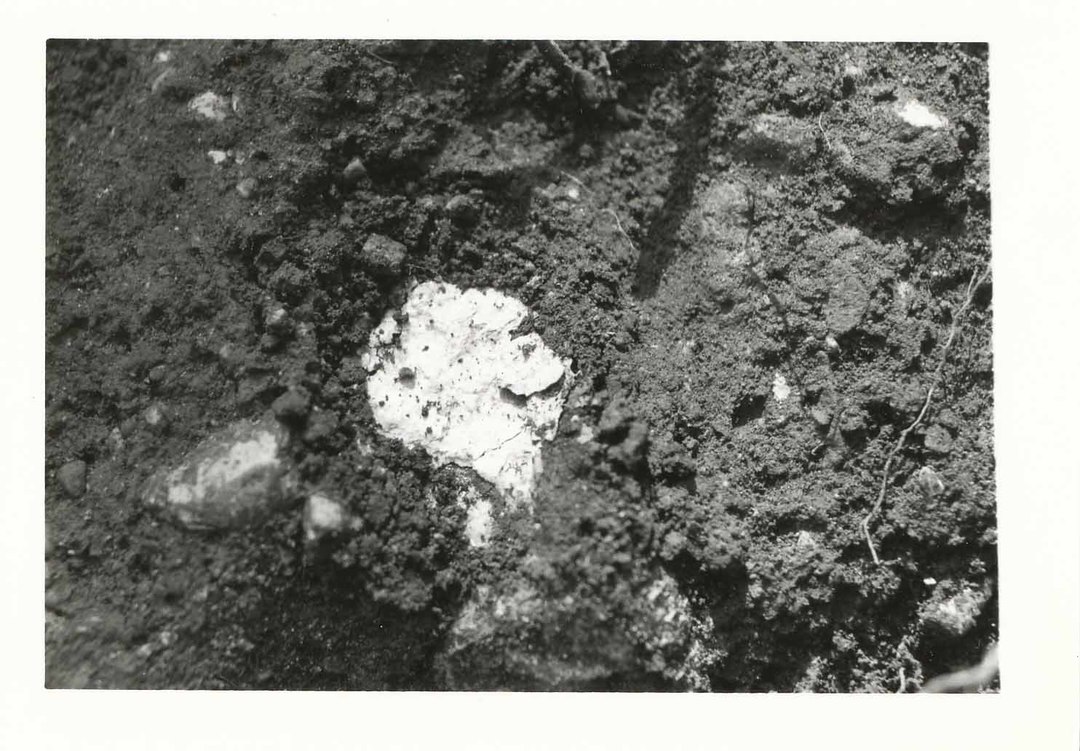  - Blisswood Knoll 1984 Dig Site- 0009.jpg