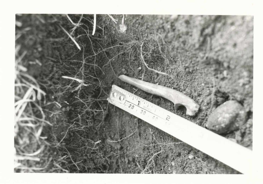  - Blisswood Knoll 1984 Dig Artifacts - - 0002.jpg