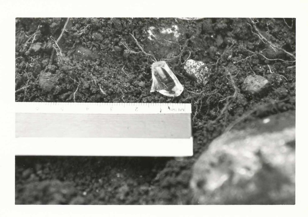  - Blisswood Knoll 1984 Dig Artifacts - - 0003.jpg