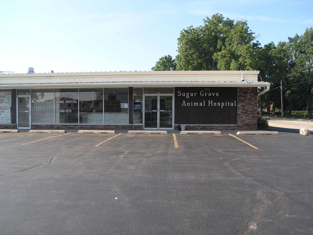 SG ANIMAL HOSPITAL ON CROSS STREET - 2 - Reduced.jpg