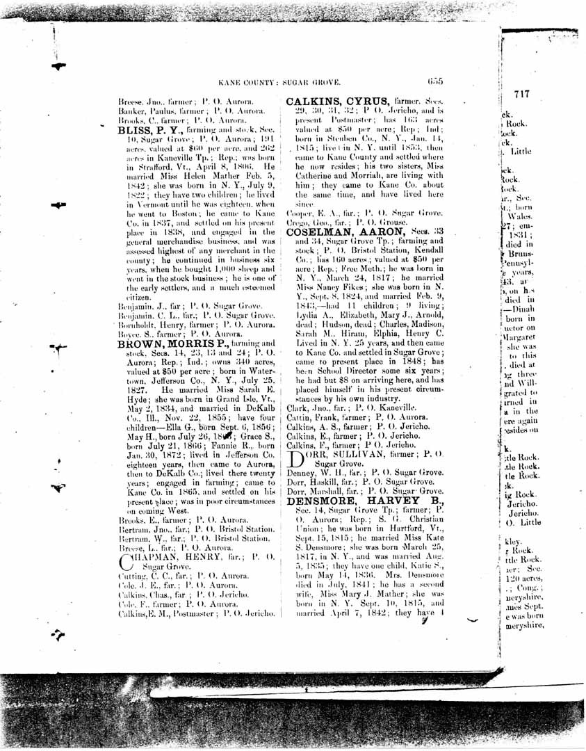 1878 Bliss, Calkins, Densmore Bios -  Reduced.jpg