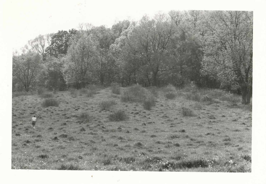  - Blisswood Knoll 1984 Dig - 0003.jpg