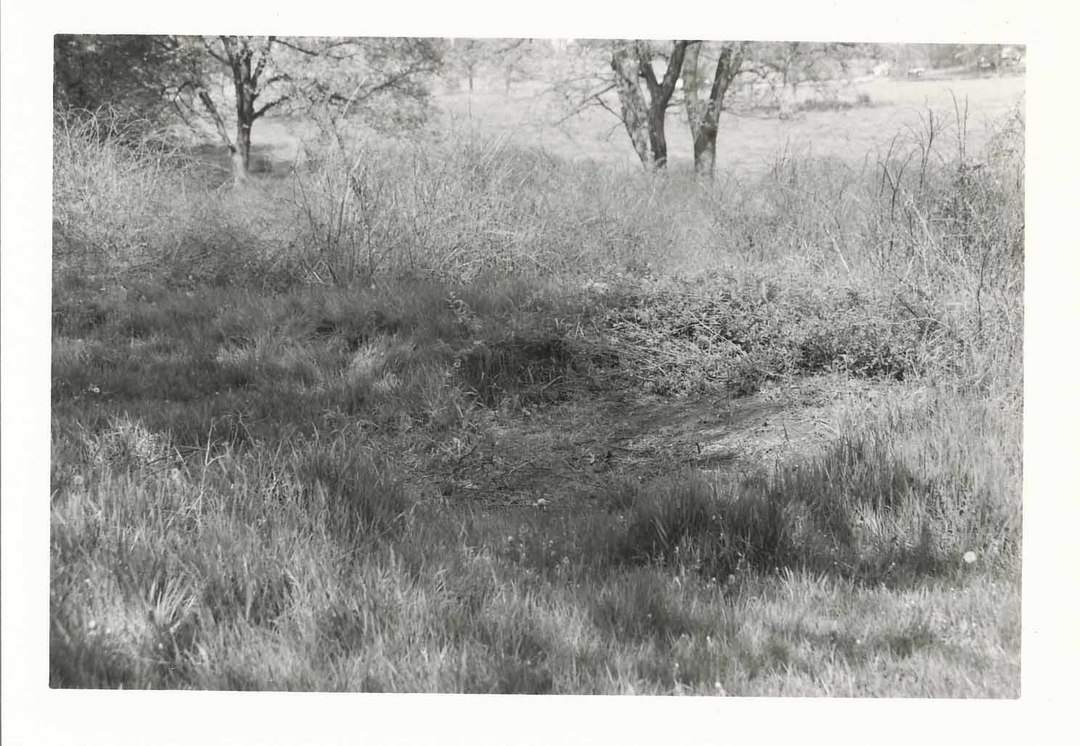  - Blisswood Knoll 1984 Dig Site- 0003.jpg