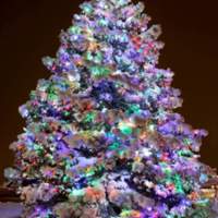 2019 SG Holiday Tree, Rte 47.JPG