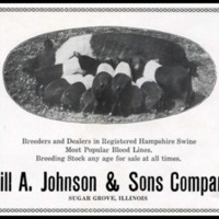 Will A Johnson & Sons Co.jpg