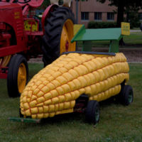 2010 Sugar Grove Corn Boil Photo