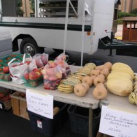 Sugar Grove Farmers&#039; Market:  2007