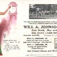 Will A. Johnson &amp; Son Ink Blotter