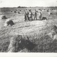 Sauer Farm:  Owen Marley, Earl Kirk, boy Jack Marley, Cluster Ramey, Leigh Sauer Jr., Leigh Sauer Sr.